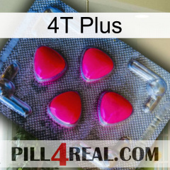 4T Plus 13